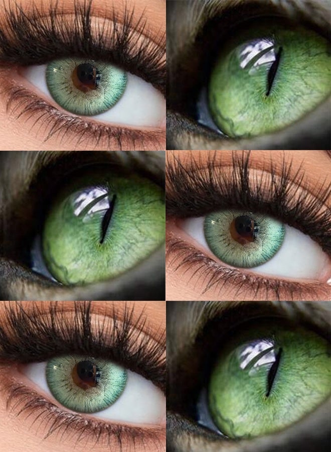 Catchu Look 14.5mm Color Green Contacts Costume Yearly Colored Lenses for Party - Image 3